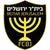 Beitar Jerusalem logo