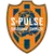 Shimizu S-pulse