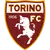 Torino logo