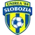 Unirea Slobozia logo