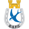 Dungannon Swifts logo