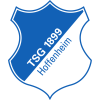 Hoffenheim II logo