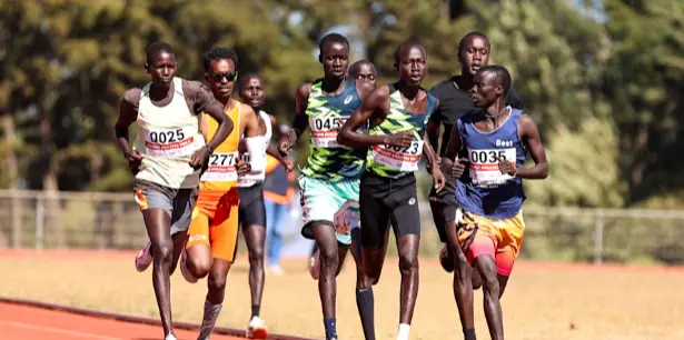 Popular Sports Bets in Kenya: Main Types, Trends, and Safer Choices